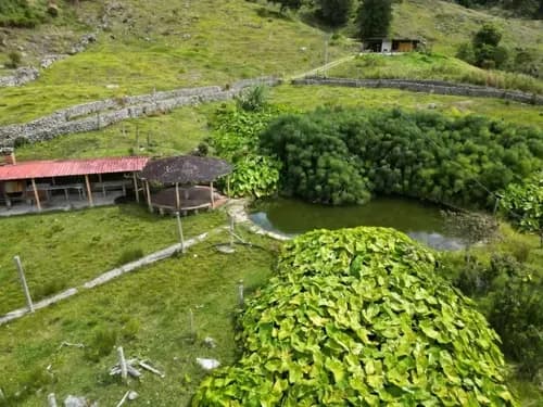Se Vende Finca En Michelena