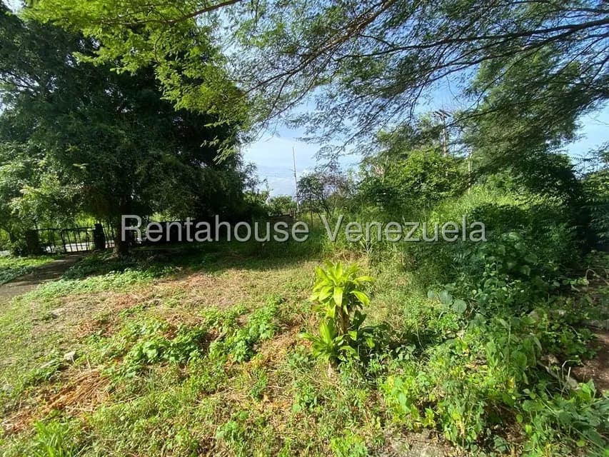 Terreno (Finca) en Venta en Santa Lucia, Miranda