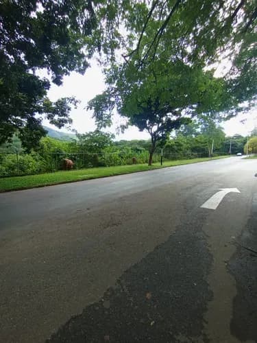 Vendo Solo Clientes Terreno En Urb Guataparo Country Club Valencia Edo Carabobo Jrico