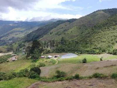 Venta finca Bramon