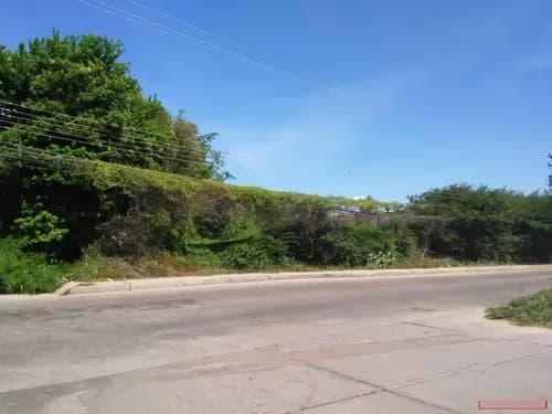 Terreno Vía Principal Los Robles/ La Asunción, Calle Fraternidad