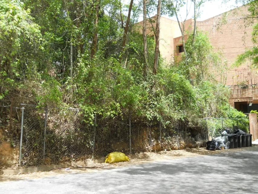 Terreno (Comercial) en Venta en El Peñon, Distrito Metropolitano