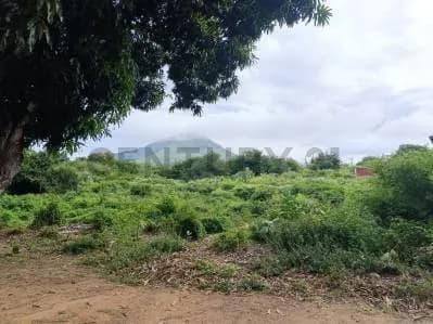 Terreno Para proyecto turístico habitacional a pocos metros de Parque el Agua