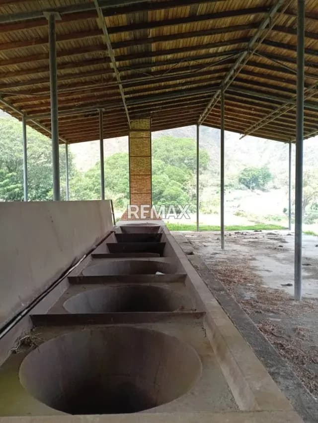 Se vende lote de terreno con trapiche a estrenar
