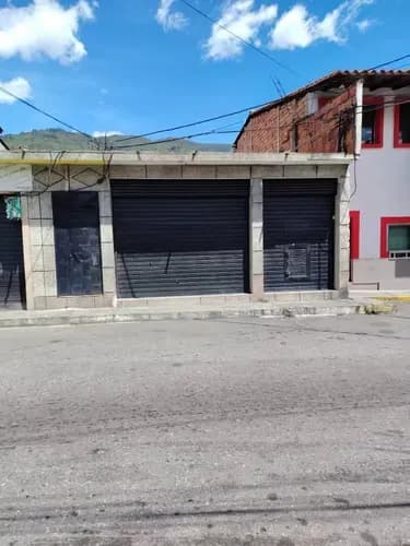 En Venta Dos Locales Y Casa En Ejido