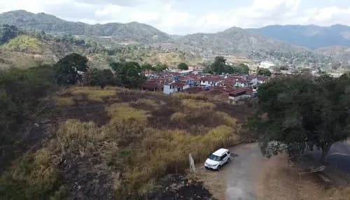 Terreno - La Rosa - 8000 Mts2