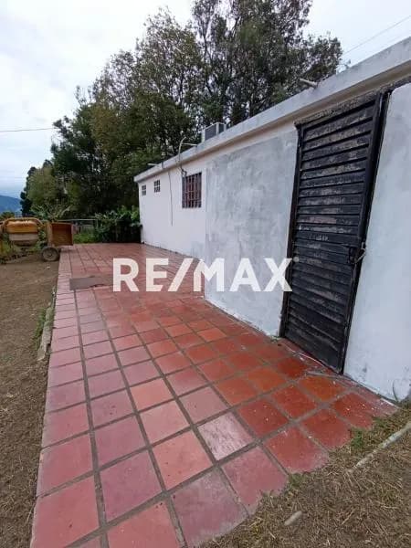 CASA EN ALQUILER EN PALO GORDO