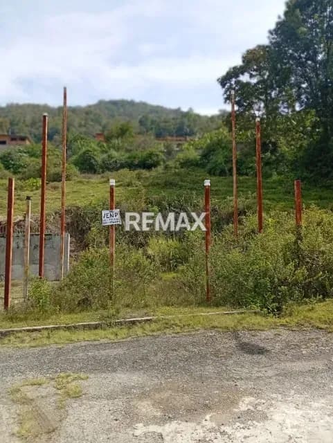 terreno en vneta