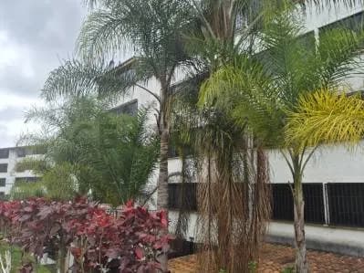Venta de Apartamento