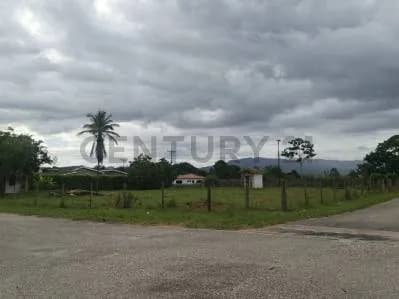 Terreno en Venta Safari Country Club