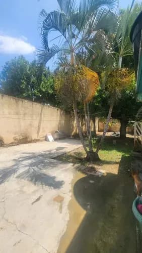 Mg 32 En Venta Casa En Las Quintas De Naguanagua 2da Etapa Pocos Metros Del Cc Cristal