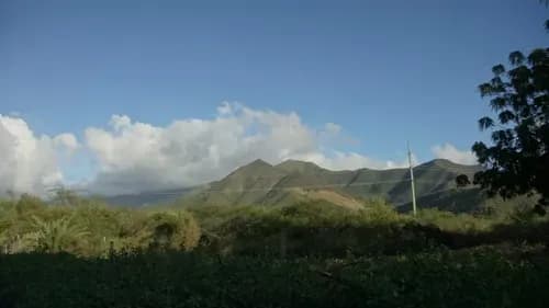 2 Terrenos En Sector Guatacaral, San Juan