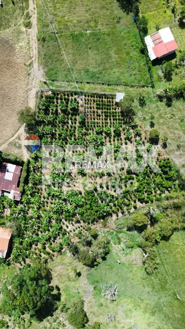 Terreno en Venta