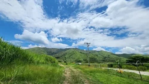 287997 Am* Venta Terreno - San Diego - ( 44.090 M2 )