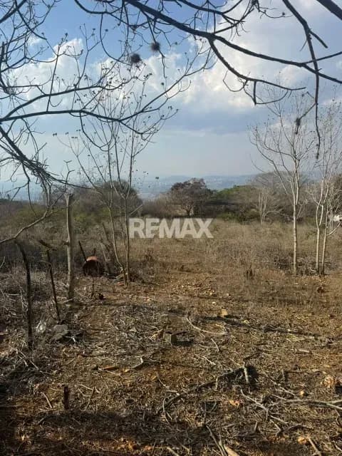 VENDO TERRENO CON BIENHECHURIAS EN AGUA VIVA CABUDARE