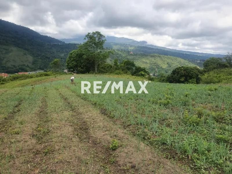 Venta con exclusiva Finca San Marcos