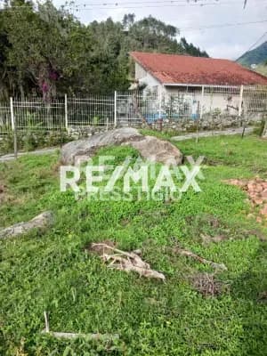 Terreno en Venta - Mérida