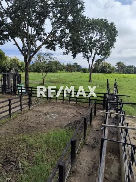 En Venta finca de 25 has