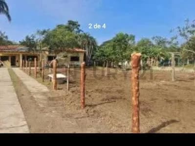 Venta de Granja en Higuerote, Sector Sotillo. PF LJL
