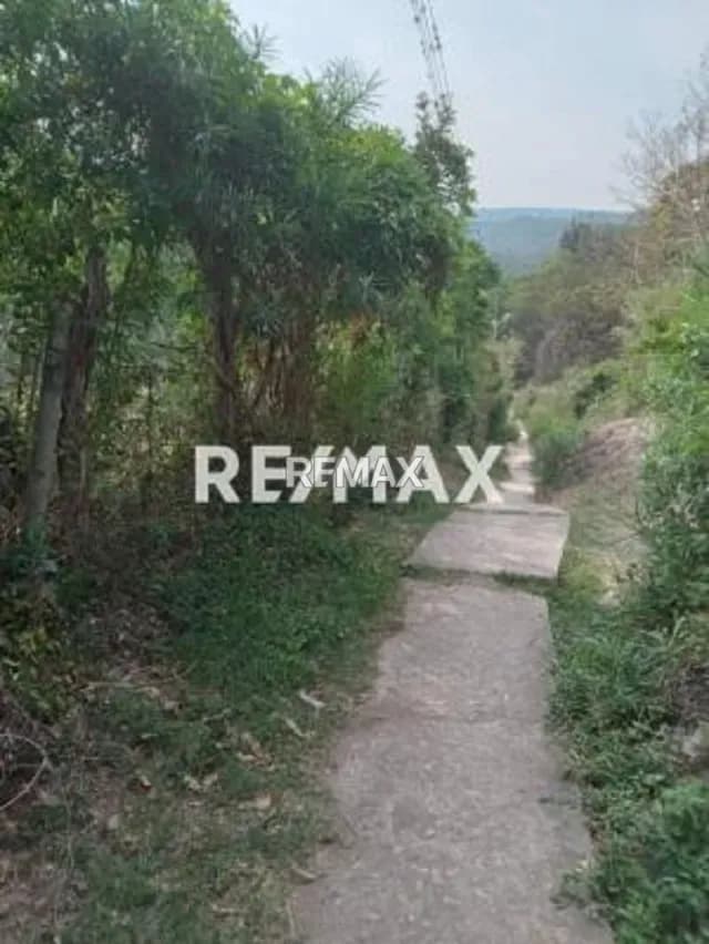 Venta de Parcela Palmira N 10