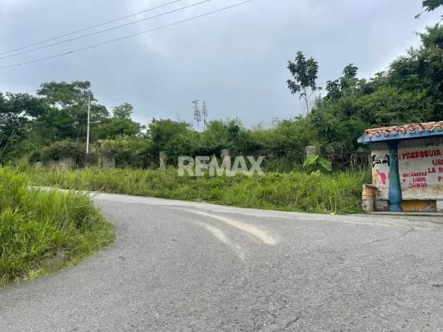 Amplio terreno ubicado en el alto de Escuque después de Y entre el Boqueron y el alto Terreno o parcela