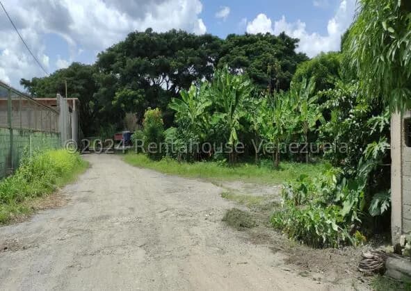 Terreno (Industrial) en Venta en Terrinca, Miranda