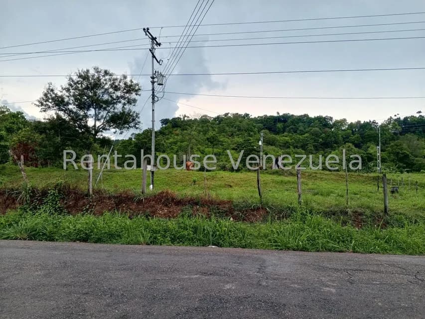 Terreno (Finca) en Venta en Sector Las Pipas, Tachira