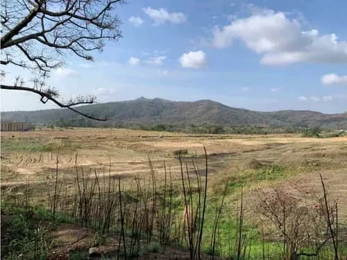 Terreno En Venta En La Variante San Diego