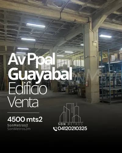 Edificio Venta Av. Principal De Industrial Guayabal Guarenas 3000 Mts2. Sonmetros2