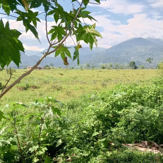 Terreno (Residencial) en Venta en El Portal, Tachira