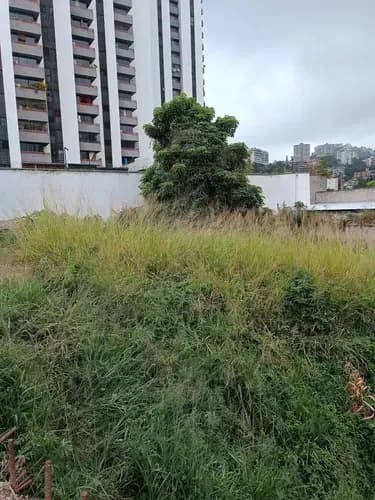Se Vende Terreno Ubicado En La Urbanización El Rosal, Municipio Chacao Del Estado Miranda.