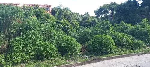 Se Terreno Carretera La Unión El Hatillo