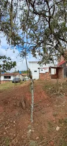 Terreno En Venta Ubicado En La Cueva Del Oso, Calle San Isidro.