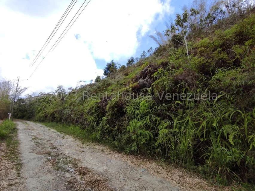 Terreno (Residencial) en Venta en Oripoto, Distrito Metropolitano