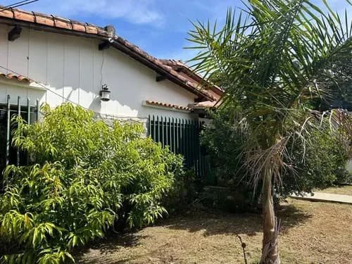 E-3144. Alexora Vende Casa Comercial Ubicada En Zona Privilegiada De Alto Tráfico, En La Urb. El Viñedo. (6,4,15)