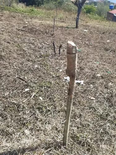 Venta De Terreno En Caneyes
