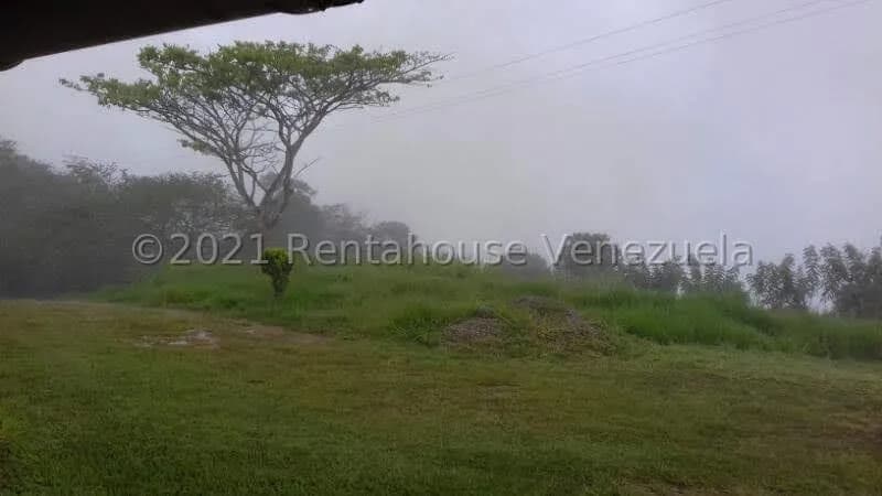 Terreno (Finca) en Venta en Sector El Kiosko, Yaracuy