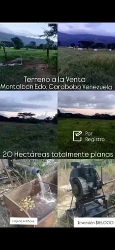 Tree002 En Venta 20 Hectareas De Terreno Productivo En Montalban Con Laguna