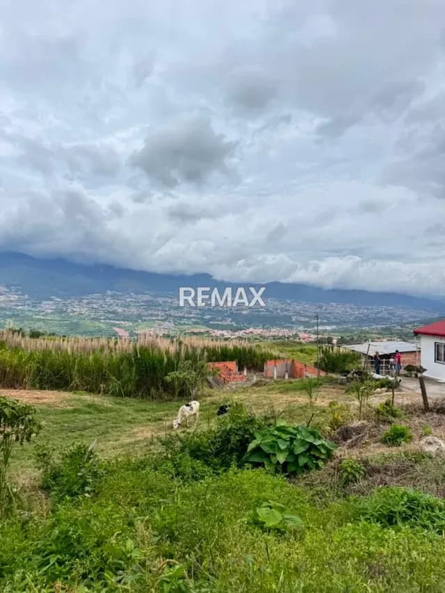 TERRENO EN VENTA EN EL ABEJAL