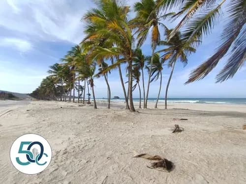 Terreno A Pocos Metros De La Playa Ubicado En Playa El Agua
