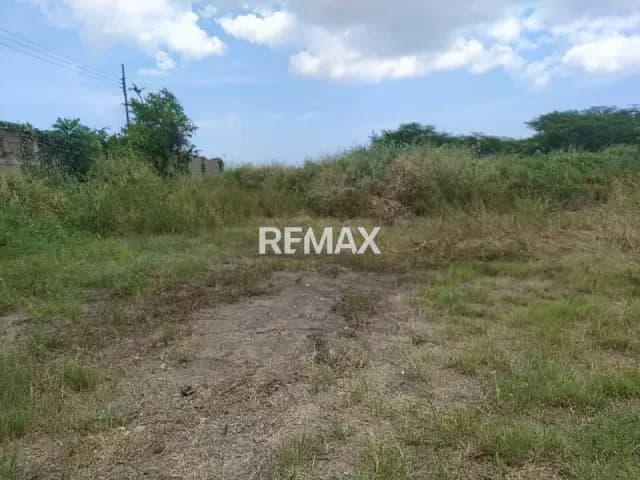 En venta amplio terreno en Troncal 9