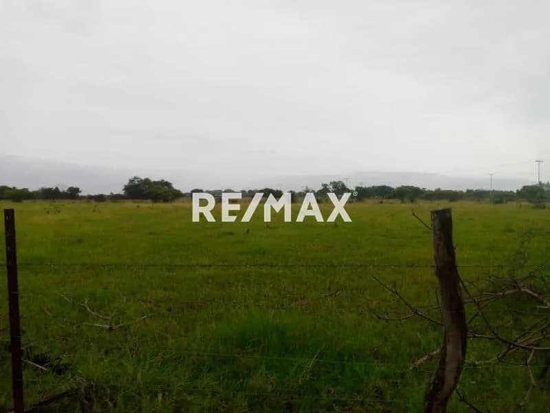 En venta finca de 100 has en elorza