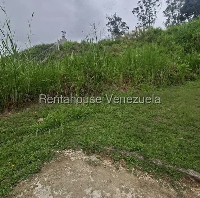 Terreno (Residencial) en Venta en Pan de Azucar, Miranda