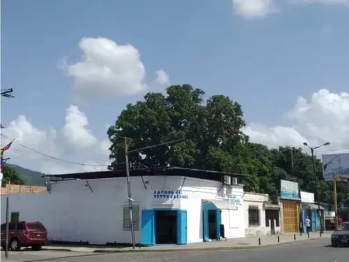 Terreno 1600 M2 Para Uso Comercial Av Universidad