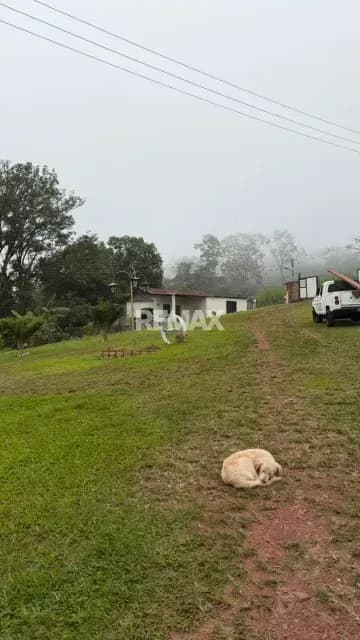 Parcela de 11.120 mtrs2 en la Colorada San Juan de Colón