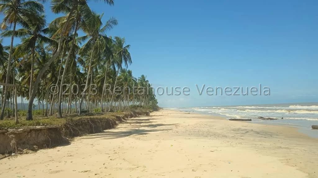 Terreno (Finca) en Venta en Playa Pintada, Miranda
