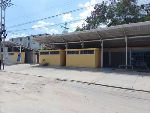 Local Comercial En Venta Ms-9850278