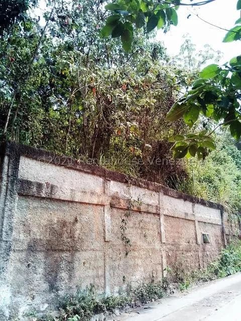 Terreno (Finca) en Venta en Sabaneta, Distrito Metropolitano