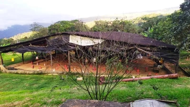 Terreno (Finca) en Venta en Canoabo, Carabobo