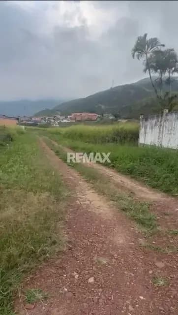 SE VENDE TERRENO EN PALO GORDO